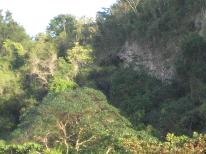 IMG_4279 - REPUBLICA DOMINICANA1- I-2011