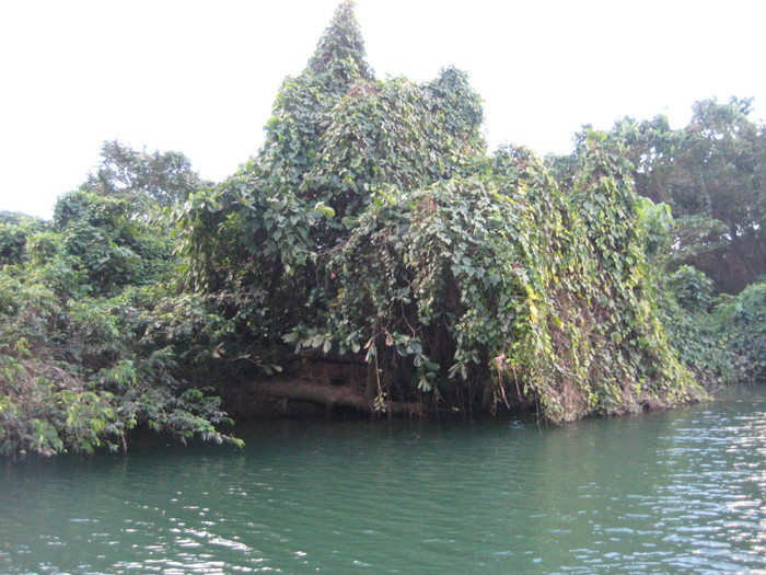 IMG_4311 - REPUBLICA DOMINICANA2 -I-2011