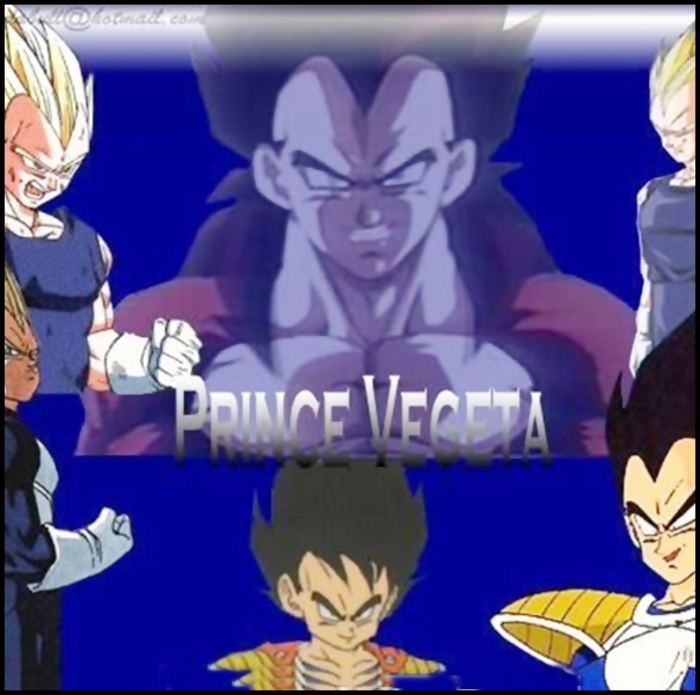 ♥~ Vegeta ~♥