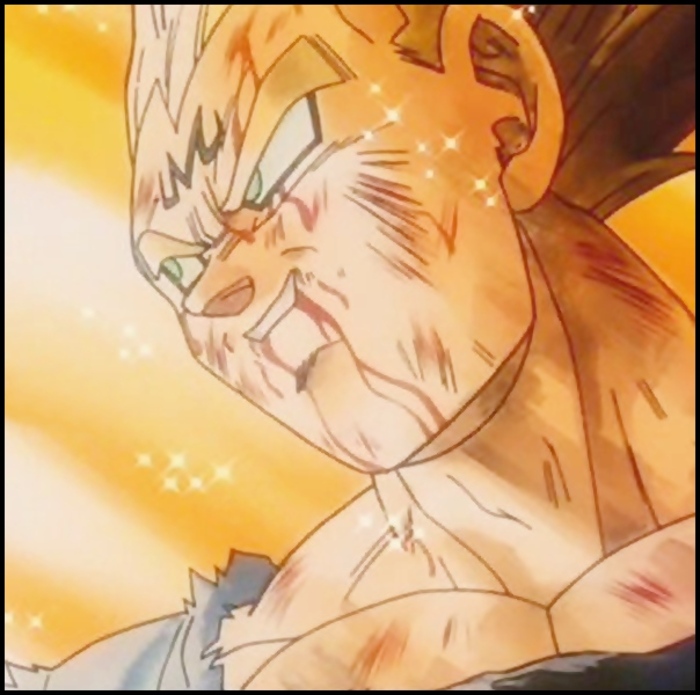 ♥ ~ Majin - Vegeta ~ ♥ - Z - z- Dragon Ball Z- the best -z - Z