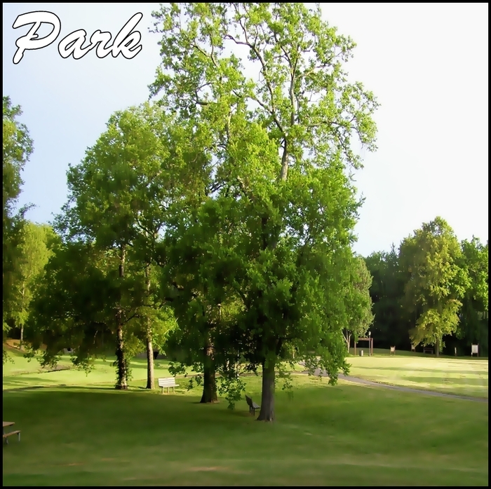 - PARK 3