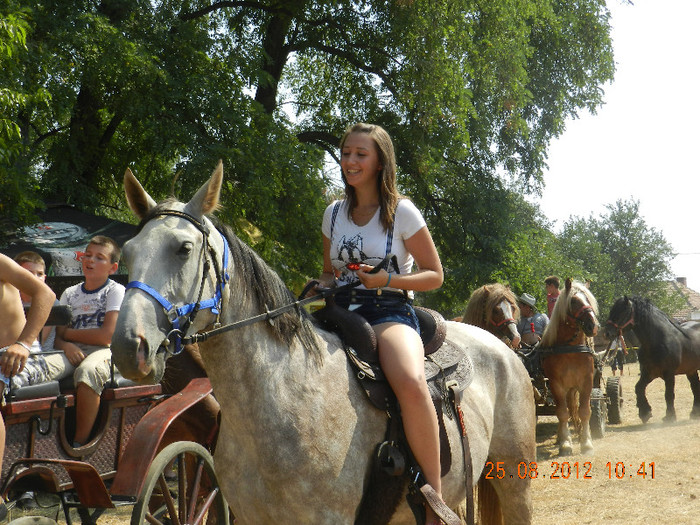 DSCN1814 - expozitia de cai tauteu bihor 2012