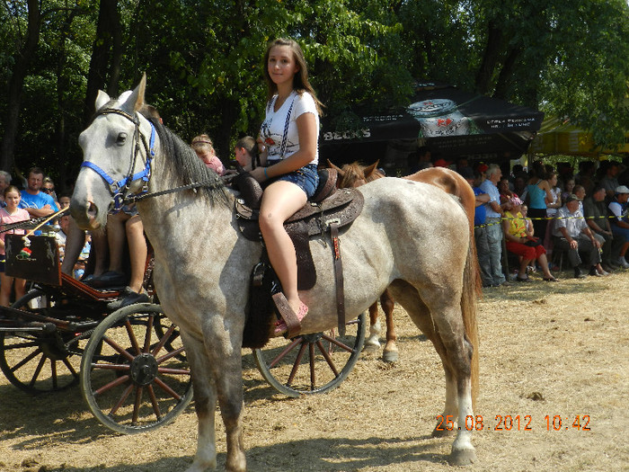 DSCN1818 - expozitia de cai tauteu bihor 2012
