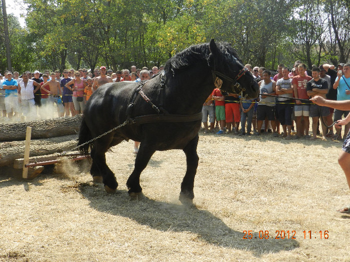 DSCN1838
