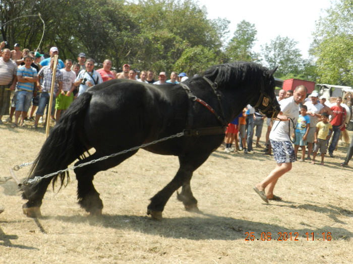 DSCN1839