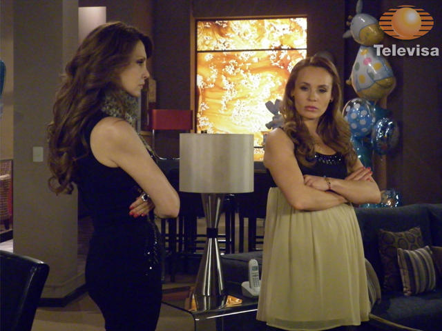 0acae352e144cd0ea32400f6c96cc6e9 - Un refugio para el amor-Refugiul