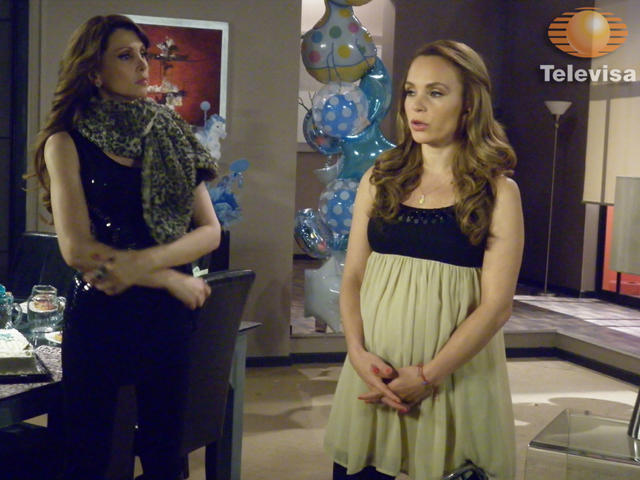 24bf4751951c8bc1f317b253a00e29fb - Un refugio para el amor-Refugiul