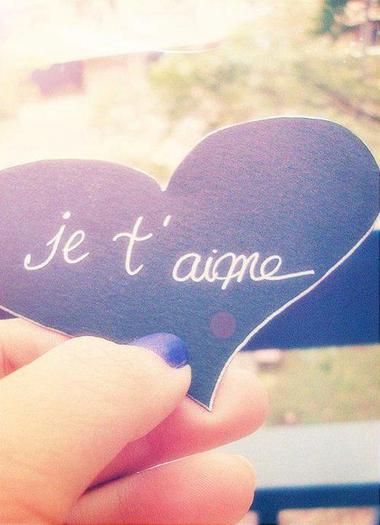 389204_226278370817369_718623787_n