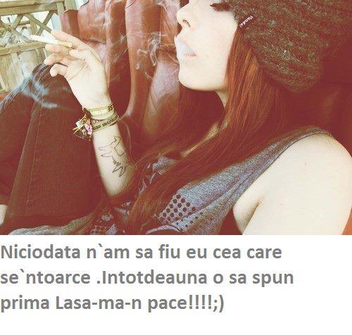 405402_260360810742458_1779757153_n