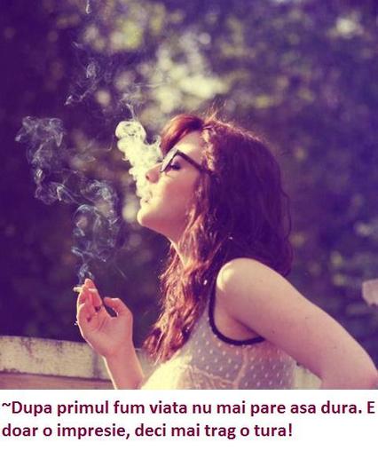 424246_261157443996128_149120822_n