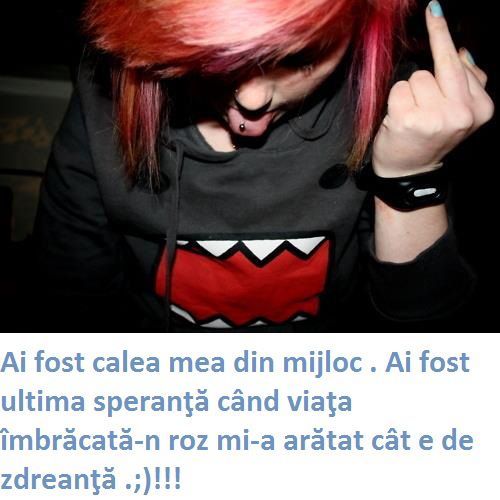 427295_260549990723540_1937480236_n