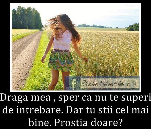 562947_385120931552268_1642901531_n