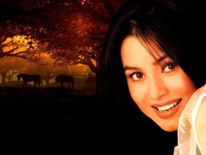 207649_193888133985832_8273721_n