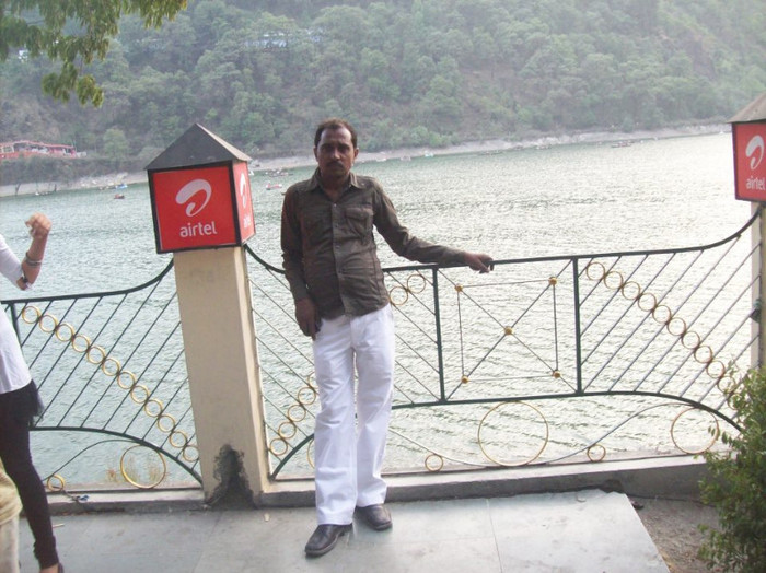 315314_288368587937974_424534066_n