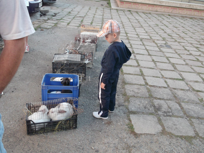 Picture 4724 - NU CONTEAZA EDITIA BINE CA MERGE