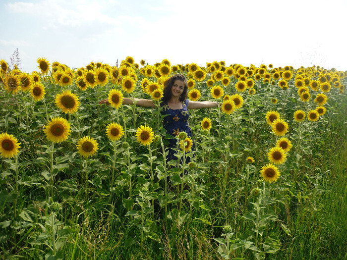 IULIE 2012 - Floarea Soarelui