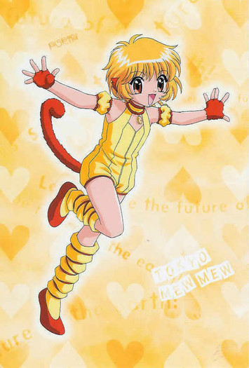 29 - tokyo mew mew