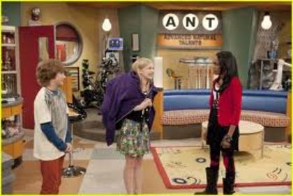 images (27) - ANT farm