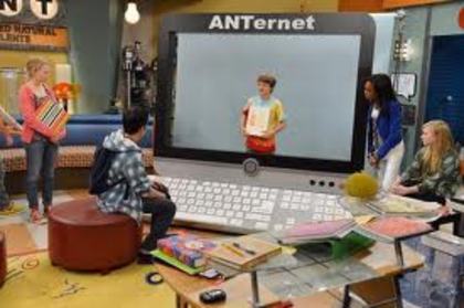 images (28) - ANT farm