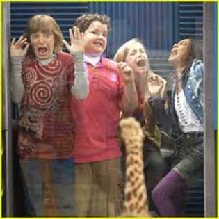images (31) - ANT farm