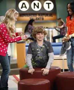 images (43) - ANT farm