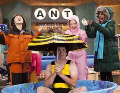 images (45) - ANT farm