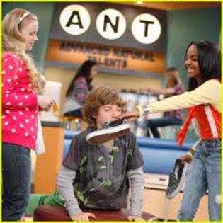images (46) - ANT farm