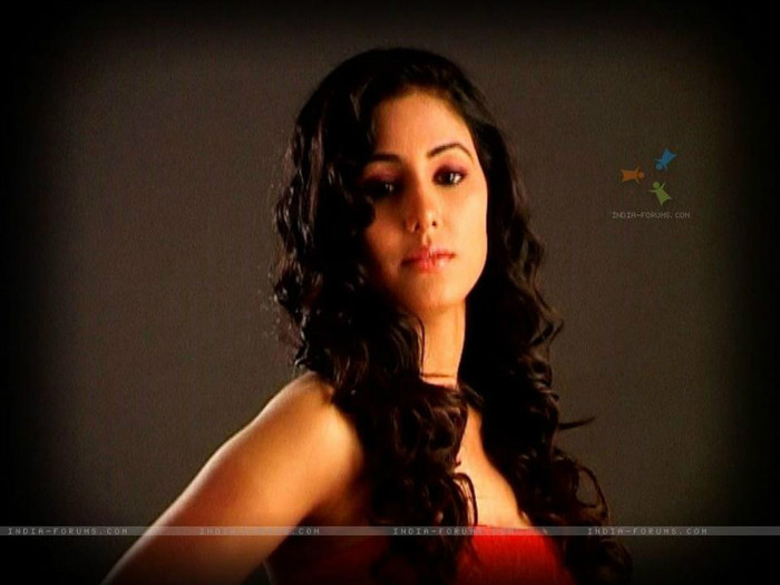 422538_373754215977752_1612451844_n - Hina Khan