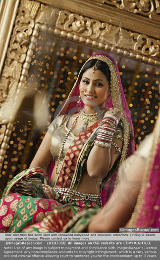 533185_393909587295548_258637246_n - Hina Khan Photoshoot For Images Bazaar 3