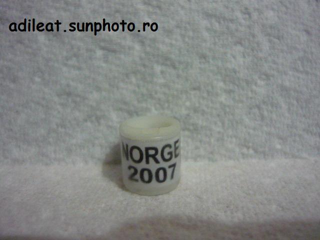NORVEGIA-2007-CIP - NORVEGIA-ring collection