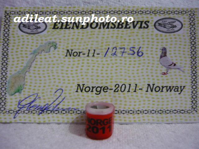 NORVEGIA-2011 - NORVEGIA-ring collection