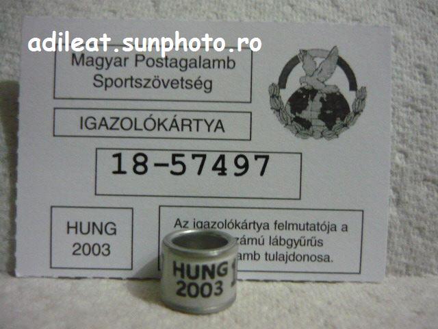 UNGARIA-2003 - UNGARIA-ring collection