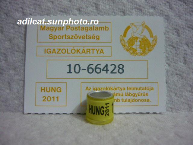 UNGARIA-2011 - UNGARIA-ring collection