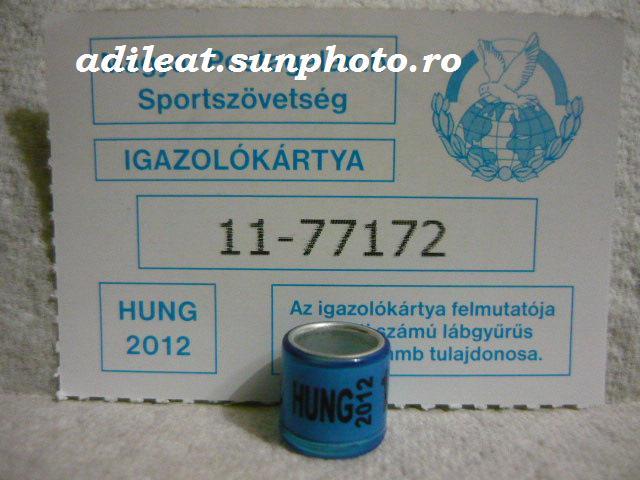 UNGARIA-2012 - UNGARIA-ring collection