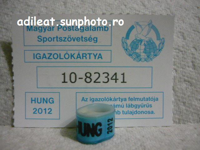UNGARIA-2012. - UNGARIA-ring collection