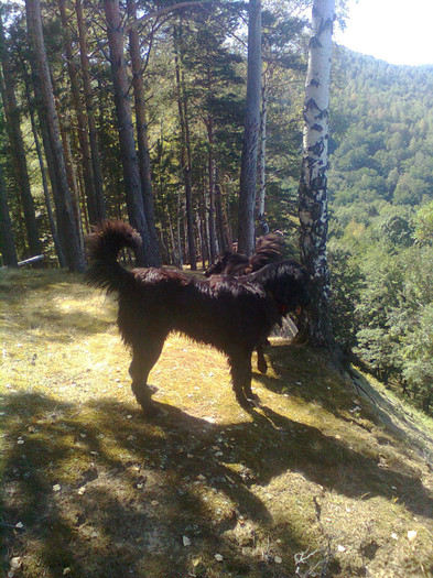 Ploiesteanu la un an