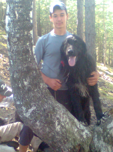 Ploiesteanu la un an