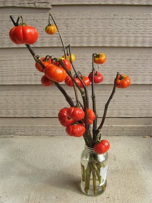 pumpkin_tree - vinete seminte