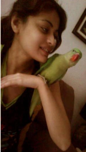 400449_354062164677097_1871804243_n