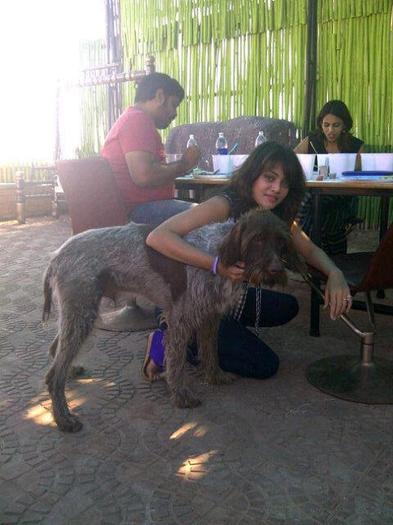 564429_354061941343786_152739496_n