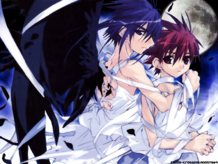 dark and daisuke 9