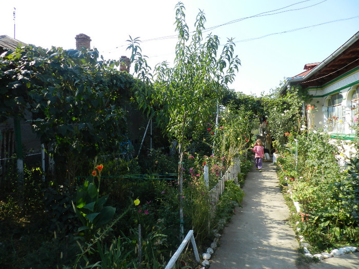DSCN0480