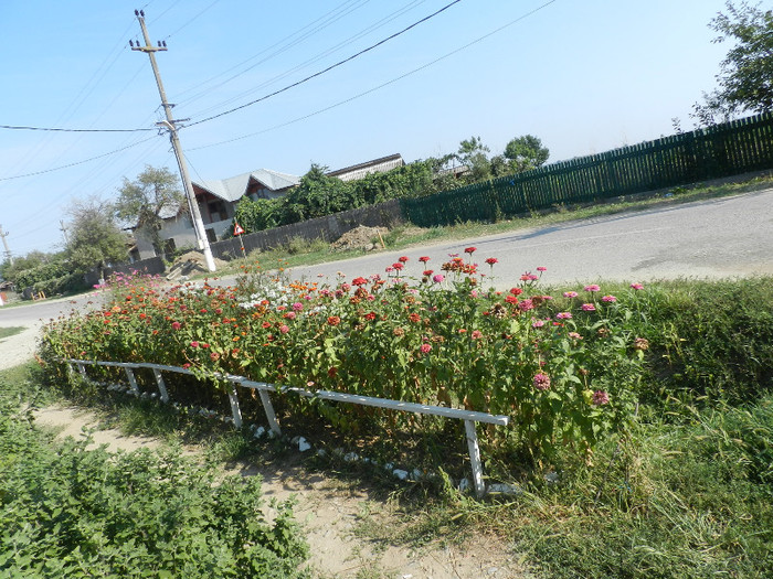 DSCN0483