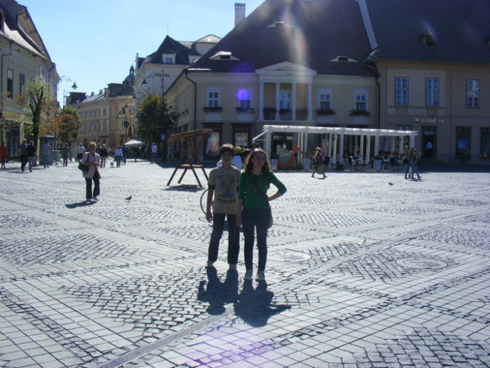 Festival SIBIU - transalpina