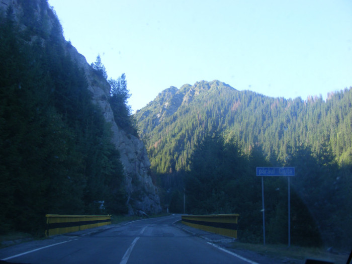DSCF8338 - transalpina