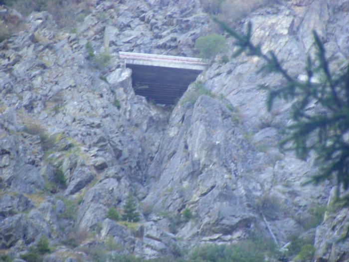DSCF8346 - transalpina