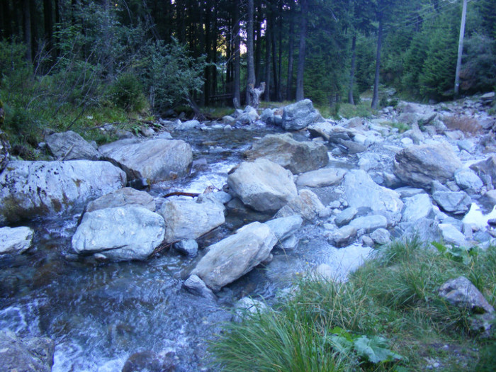 DSCF8356 - transalpina