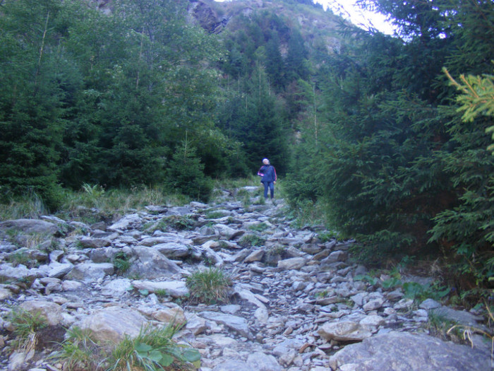 DSCF8358 - transalpina