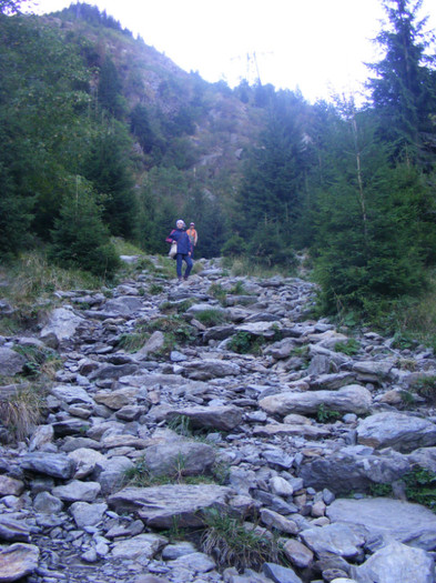 DSCF8359 - transalpina