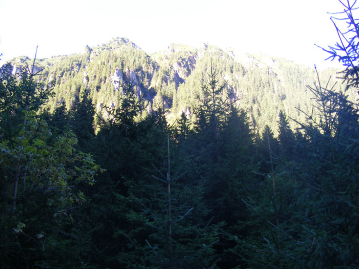 DSCF8360 - transalpina